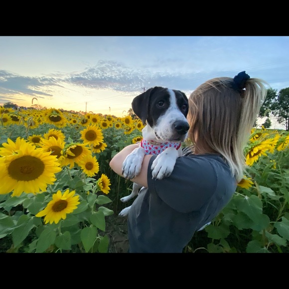 🌻🌿 Welcome!! 🌻🌿 - Picture 4 of 4